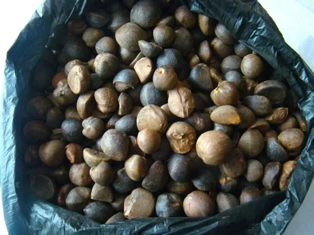 农村生活食用油,农村吃的便宜又好的食用油推荐