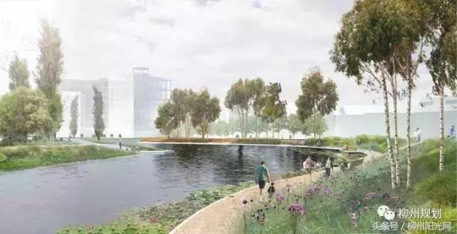 柳江区哪个镇最好,柳江区有好的发展吗