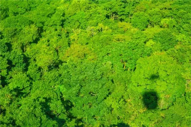 香港tvb的发展历程,香港tvb怀旧之旅