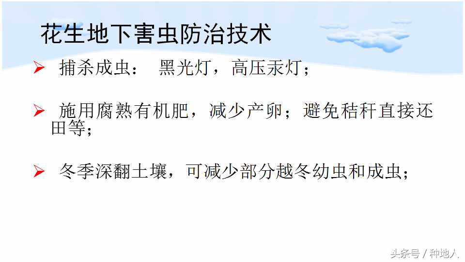 马上开始播种花生,快要种花生了