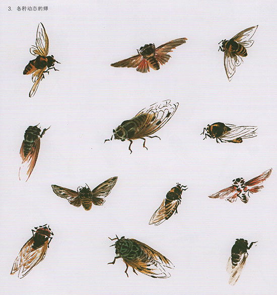 工笔花鸟国画背景的画法,中国国画几种虫儿的画法