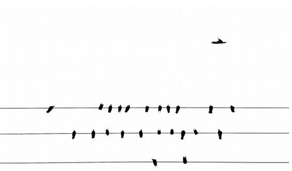 春季手机摄影大赛,摄影有哪些大赛