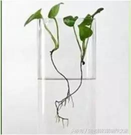 写童话的技巧和方法动画,写童话怎么写300字