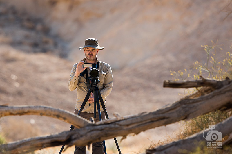 中东荒漠中的“特殊旅行”