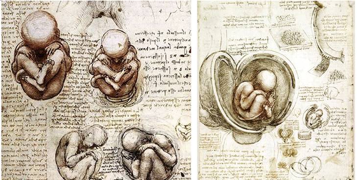 古今中外绘画欣赏,解剖全国绘画优秀作品