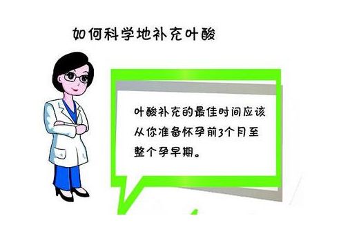 怀孕早期如何补充叶酸,怀孕前怎样补充叶酸