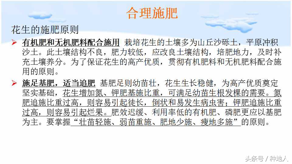 马上开始播种花生,快要种花生了