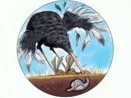 鸵鸟戴上vr眼镜广告,鸵鸟宣传