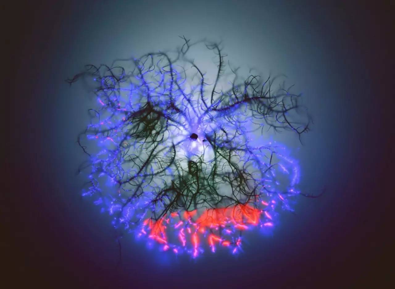 神秘光波的另类治疗法|克里安摄影术
