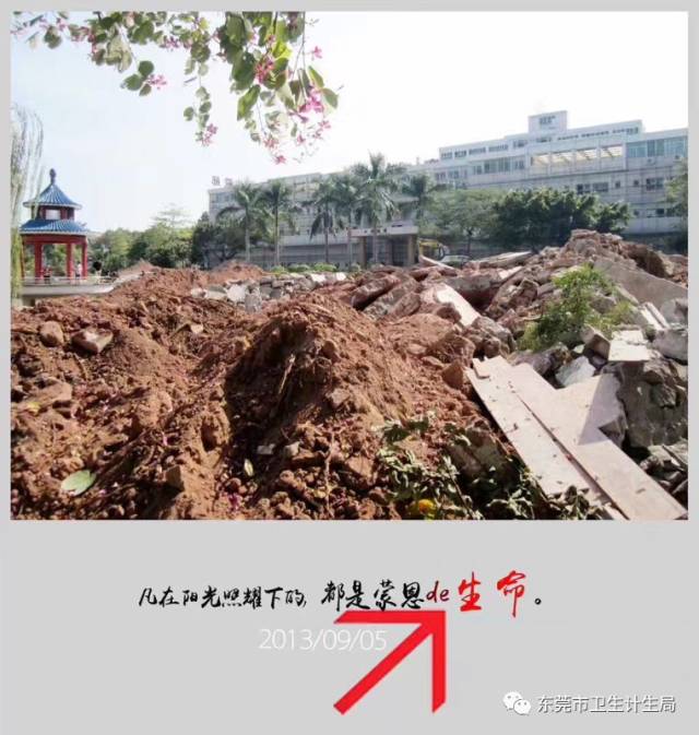 东莞市南城公立医院,东莞医疗机构曝光