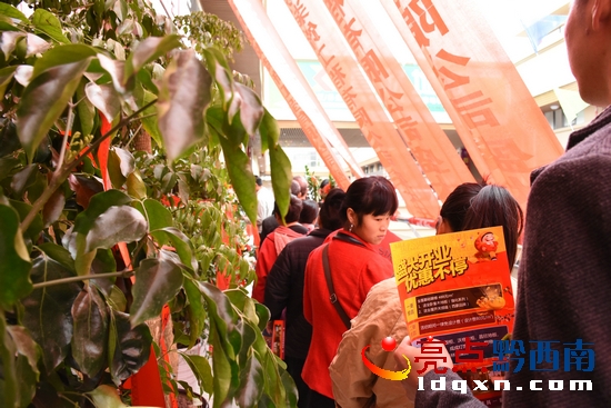 兴义市五金建材,兴义首家体验馆