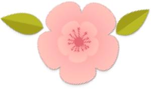 大猩猩给老虎喂奶,大猩猩给老虎喂奶太温馨太感动了