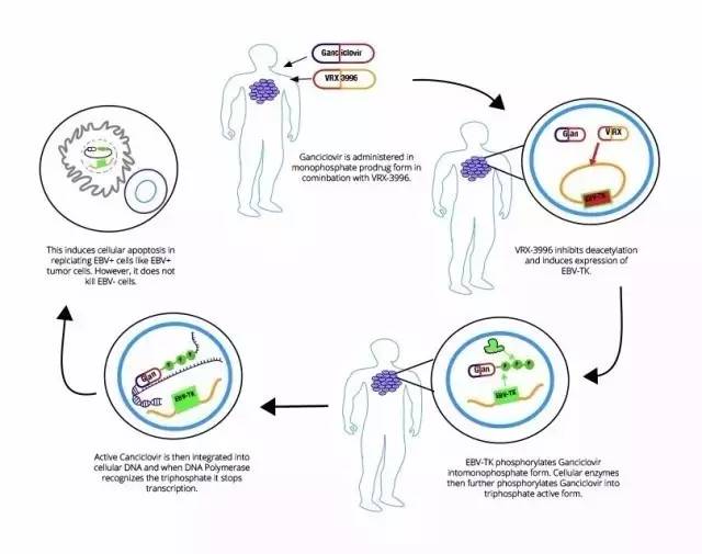 全球十大医疗保健公司,全球十大医疗企业利润