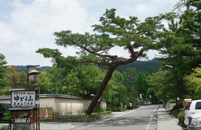 念念不忘必有回响日语,念念不忘必有回响再次相见