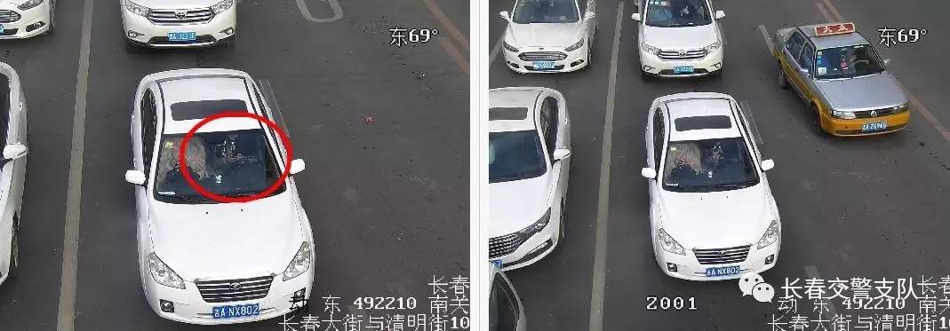 最新违法曝光台名单,2019违法曝光台