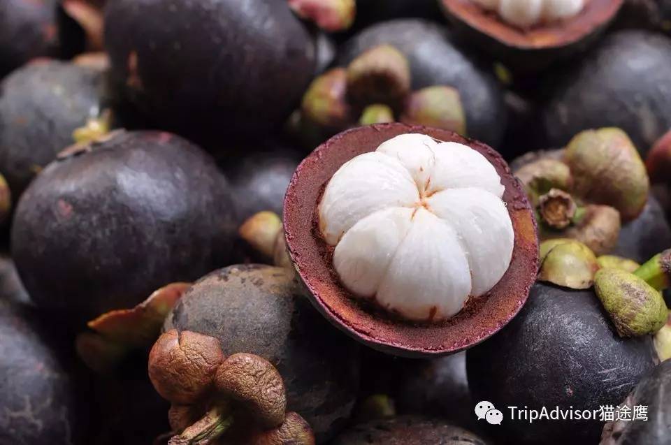 为什么大家都去泰国玩,为什么大家都去泰国留学