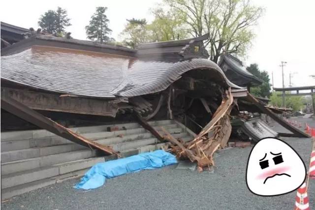 熊本县熊本熊,2019熊本熊到访城市