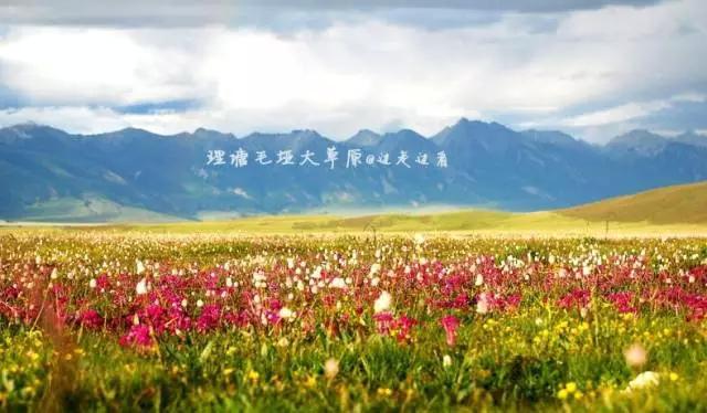 四川不可不去的十个景区,四川湿地风景区