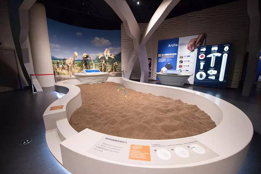 探寻人类的起源之谜,探寻人类祖先的奥秘