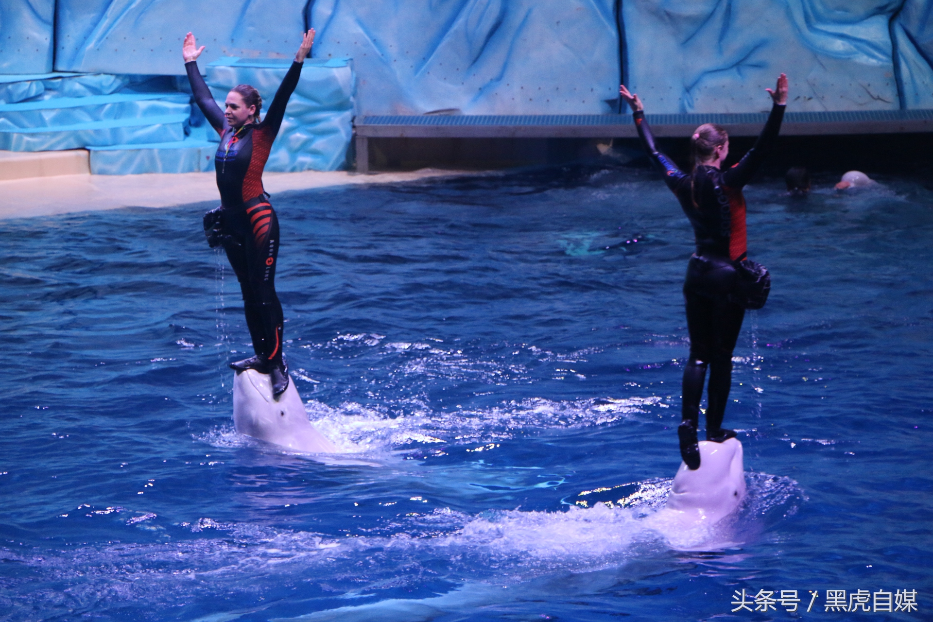 旅游珠海长隆海洋王国攻略,长隆珠海海洋王国游玩一天攻略