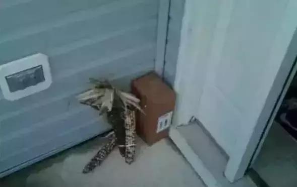 美国快递到底有多暴利,美国快递反映了美国人的什么