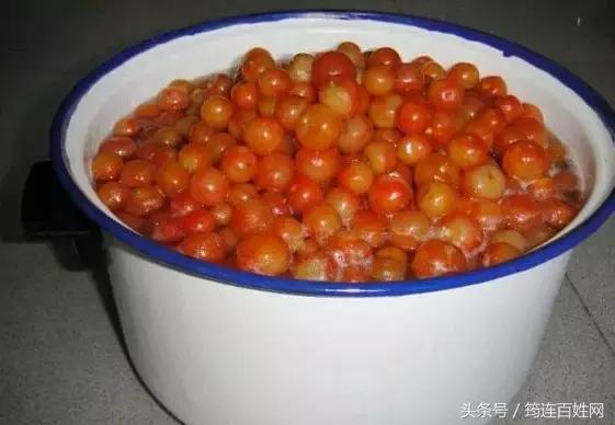 尖叫！一位女孩吃樱桃，看着蛆从里面爬了出来……