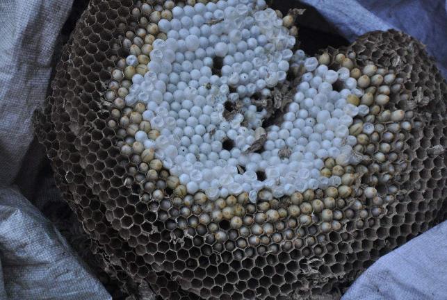 鼻炎很好治，一用就见效