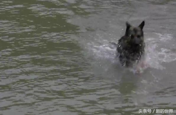 团长结局最后一集,团长结局朗读