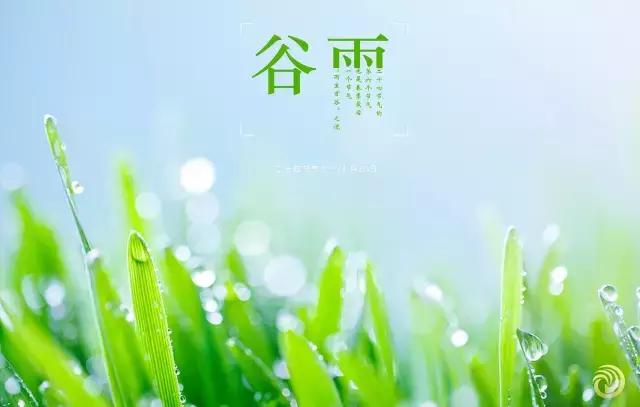 倾听谷雨朗读视频,倾听谷雨古诗朗诵