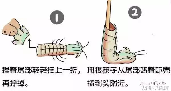 比手臂还粗的皮皮虾你吃过了吗,比手臂还要大的皮皮虾你吃过没有