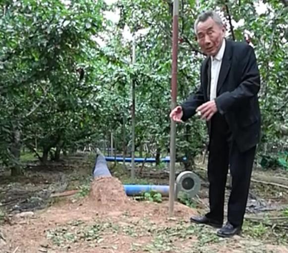 中国樱桃第一县,中国樱桃第一