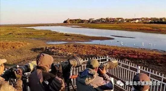 给所有秦皇岛人,这里有一份春天请你查收!