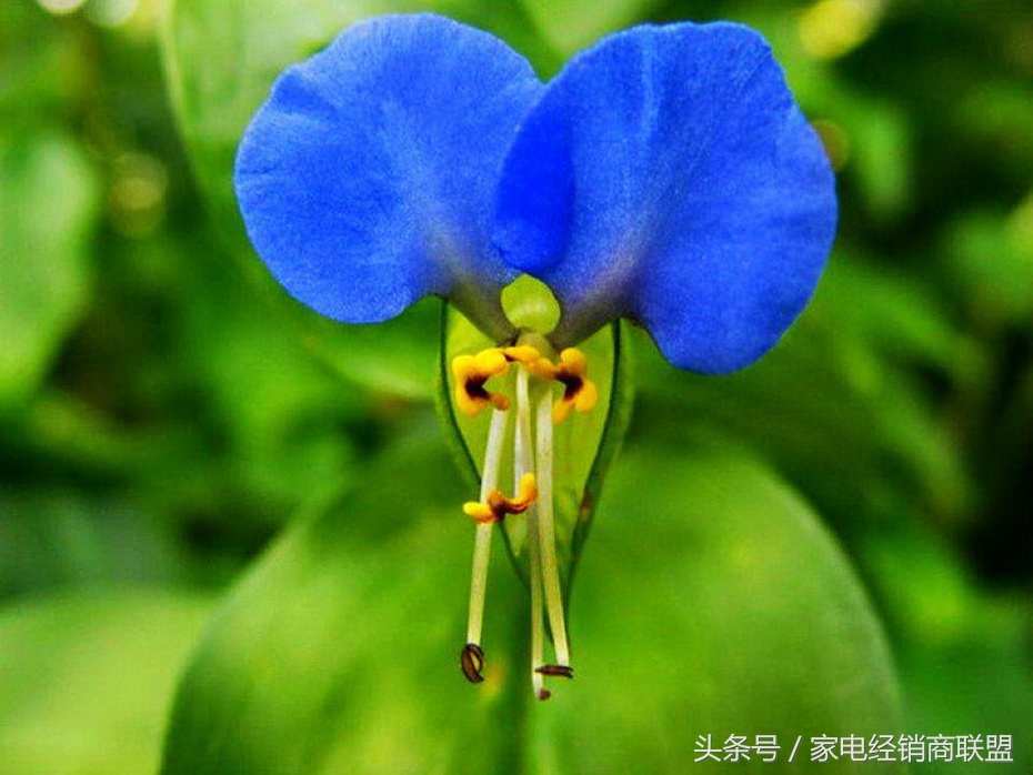 让黄脸婆回归成女神的距离,其实只隔着一台好吸油烟机这么远!