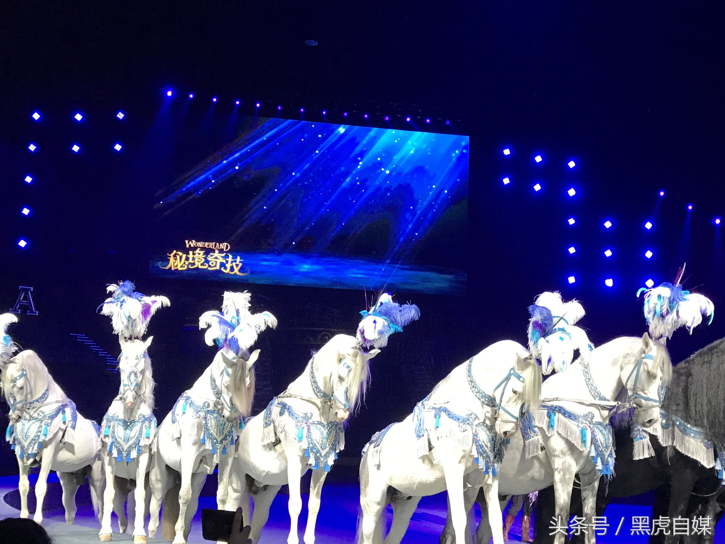 旅游珠海长隆海洋王国攻略,长隆珠海海洋王国游玩一天攻略