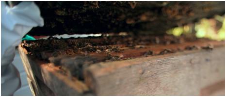 海量原料成本比别人高1-3倍,这家公司咋做生意的?