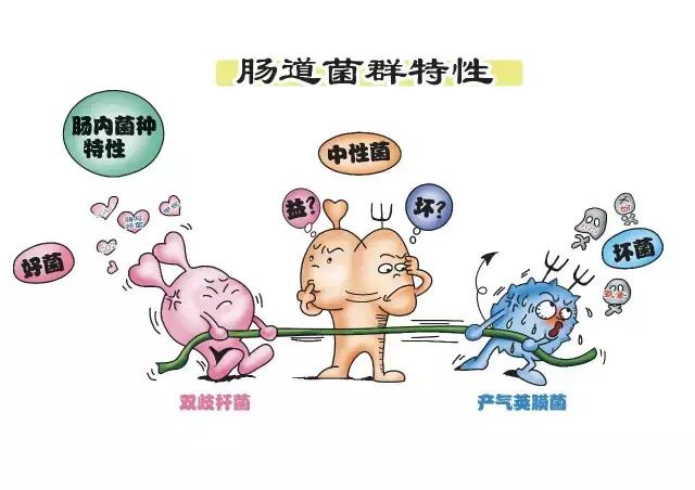 胃药和什么药不能一起吃,胃药与胆囊炎药可同吃吗