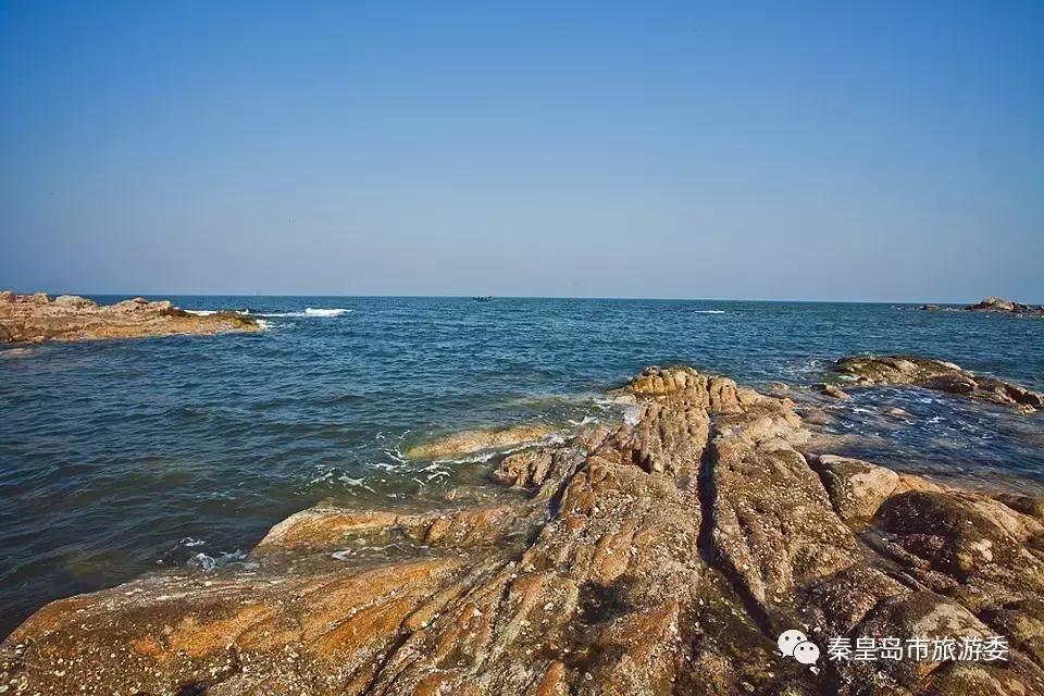 给所有秦皇岛人,这里有一份春天请你查收!