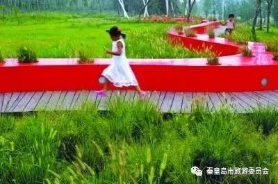 给所有秦皇岛人,这里有一份春天请你查收!