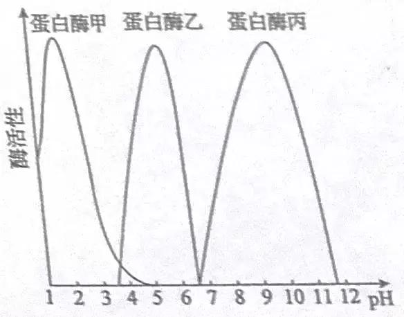 生物技术实践视频,生物技术实践
