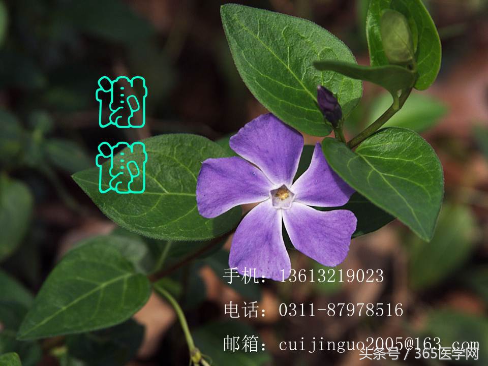 崔进国：消化道出血的介入治疗