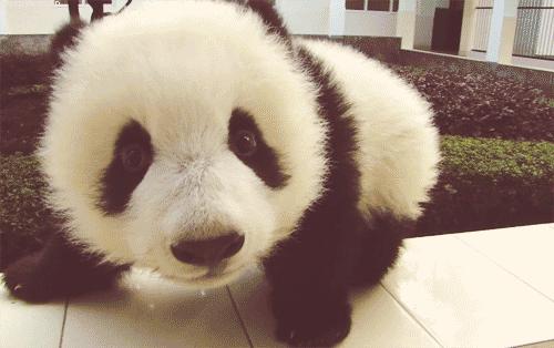 如何分辨自己是眼袋还是卧蚕,这不是眼袋这是卧蚕