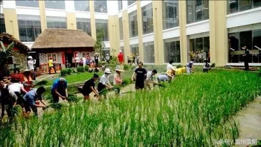 雷州富豪陈宇,陈宇从广州徒步回雷州多久