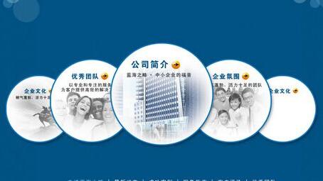 中小型网站建设及运营策划书,企业网站设计建设方案策划书