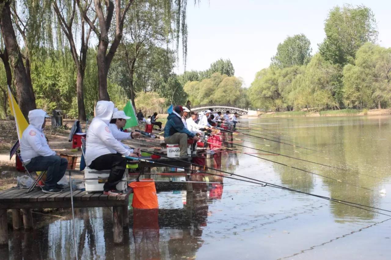 中国公认钓鱼高手排名前十,全国钓鱼顶尖高手过招