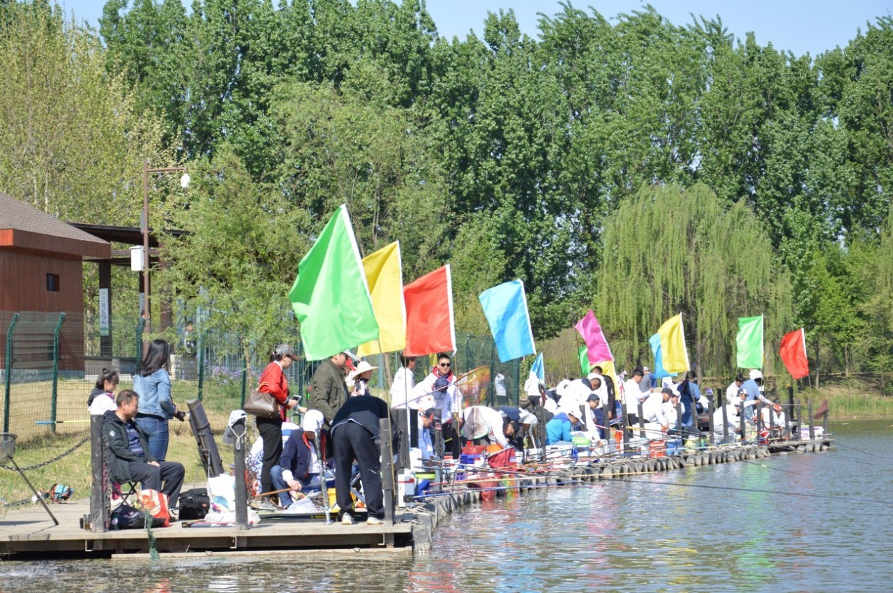 中国公认钓鱼高手排名前十,全国钓鱼顶尖高手过招