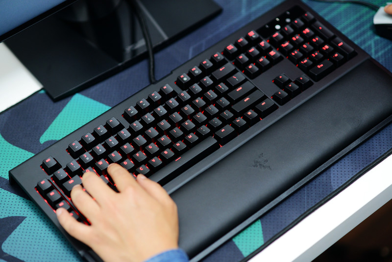 黑寡妇蜘蛛2019和幻彩版,黑寡妇蜘蛛幻彩版测评