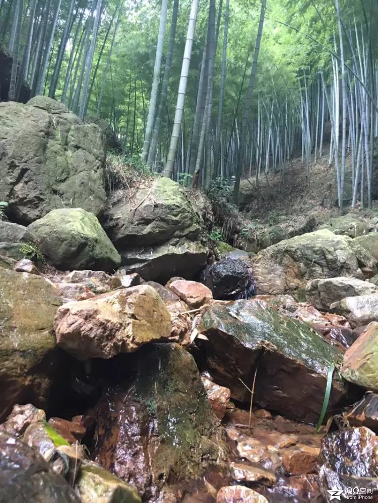 宜兴江南竹海,大美宜兴竹海