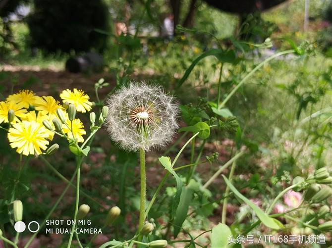 小米6变焦双摄拍人更美,小米6拍照长焦