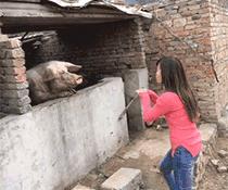 蝎子摆尾视频慢动作,蝎子摆尾可以衔接什么动作