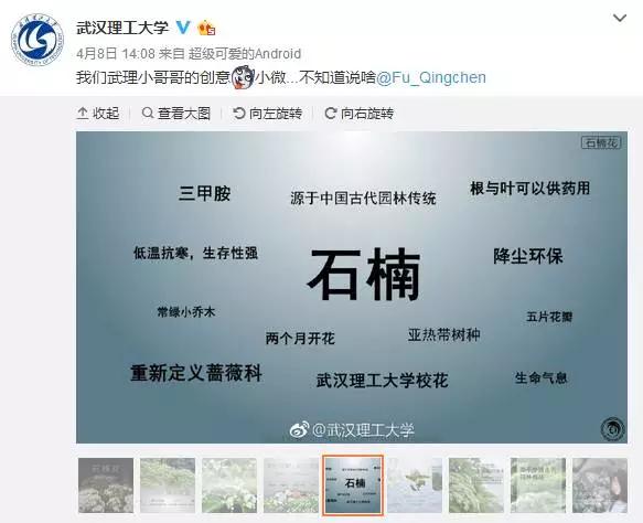 涓轰粈涔堝悇澶ч珮鏍￠兘绉嶇煶妤犺姳,澶у鍏充簬鐭虫鑺辩殑閲囪闂